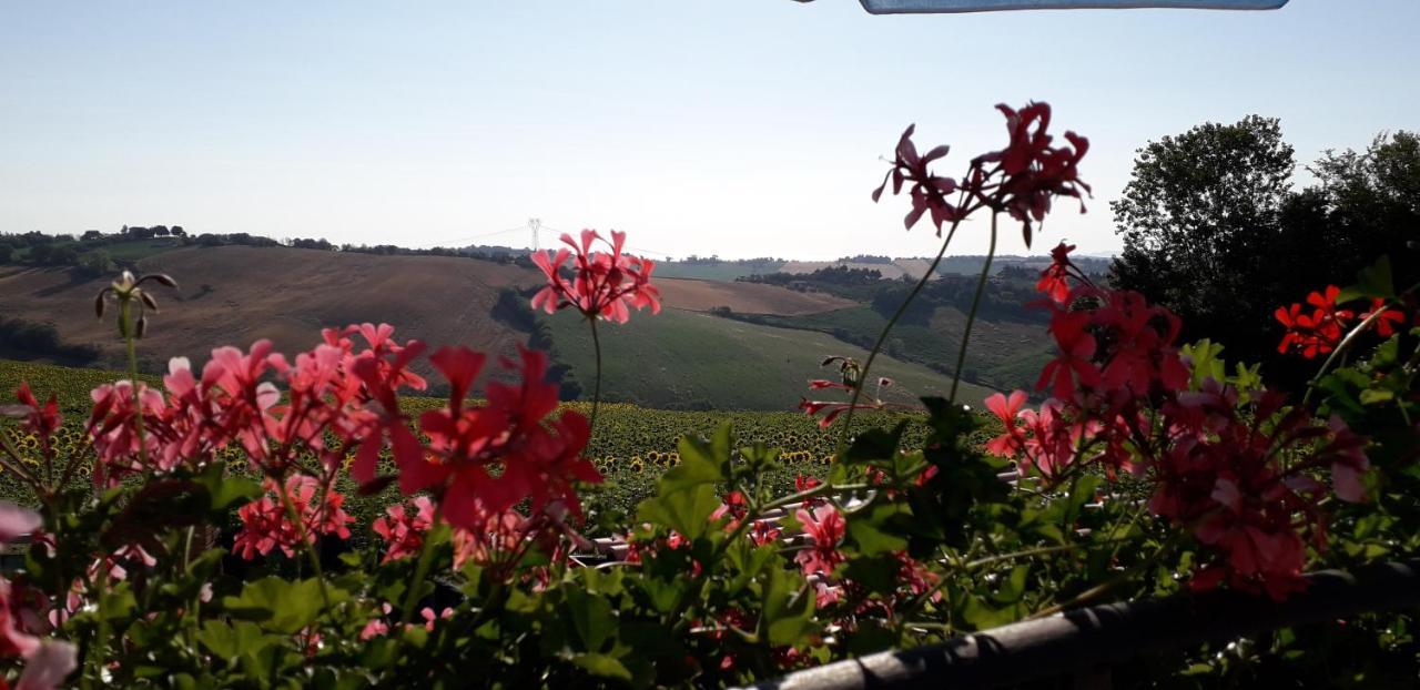 Lo Scrigno Di Simon Bed & Breakfast Senigallia Dış mekan fotoğraf